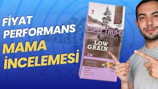 FİYAT/PERFORMANS KEDİ MAMASI! (Spectrum Low Grain Kısır Kedi Maması İncelemesi) by VOLİPET - Ali Aktas 7,136 views 6 months ago 16 minutes