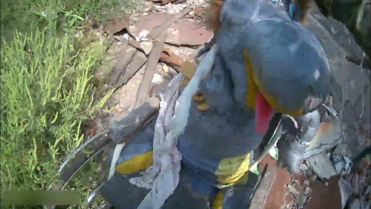 привет бахмут