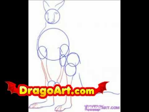 How to draw a kangaroo, step by step - YouTube