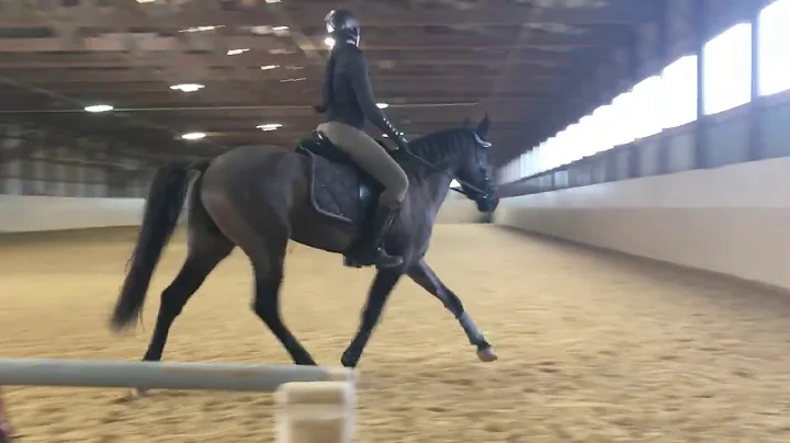 Savannah: Stacey Hastings Clinic 12/17