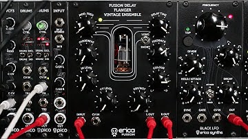 Erica Synths Fusion Delay mkII demo