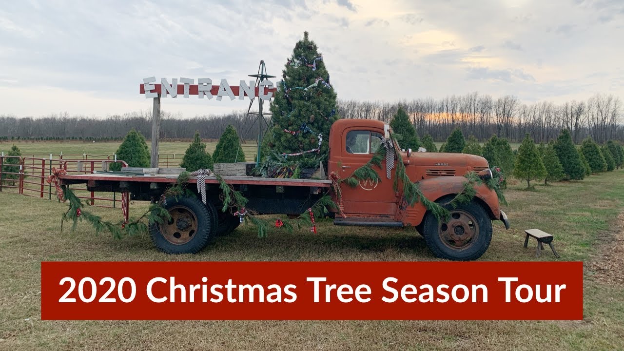 2020 Dull's Tree Farm Christmas Tree Season Tour