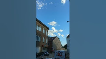 Zo giert de gierzwaluw