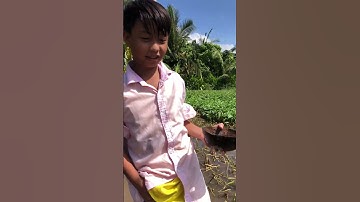 đám cưới mùa nước lũ cô dâu lạ lắm  #funny #meme