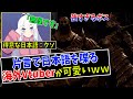 【外国人ネキ】片言の日本語で文句を言いながらダークソウルをする海外VTuberが可愛いｗｗ【日本語字幕付き 】