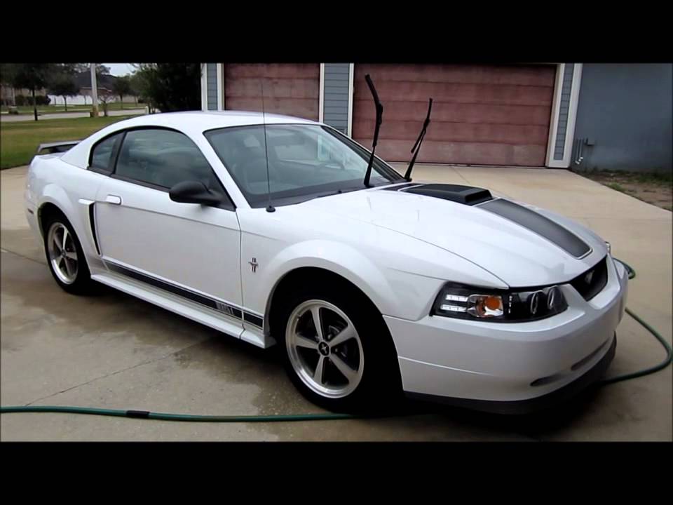 2003 White Mustang Mach1 Prep For Detail Gt Garry Dean Premium You Premium