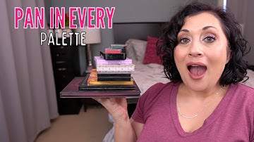 Pan in Every Palette Project Pan & Project Level Up | Update #30! #projectlevelup #panineverypalette