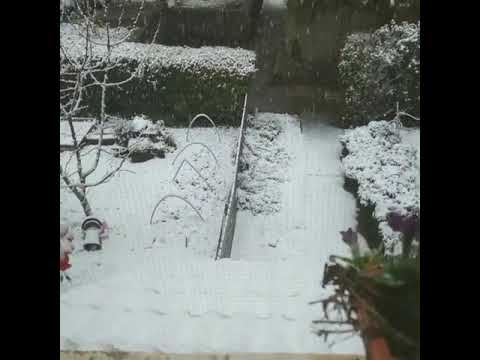 بديت القصه تحت الشتى فيروز