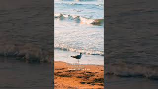 Hayatı Anlamlı Kılan Nedir?