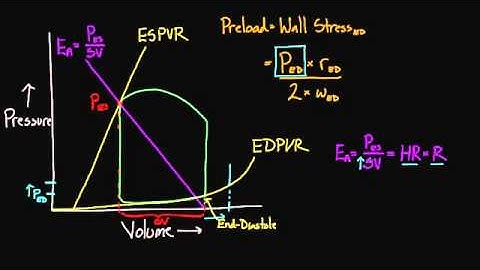01   Changing the PV loop   08   Arterial elastance Ea and preload