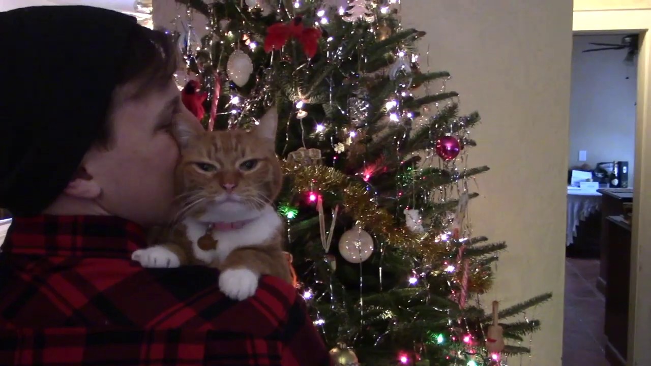 Christmas day music video Christmas Music Video - YouTube