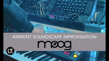 Ambient Soundscape Moog Matriarch Mother 32 Subharmonicon | The Journey II