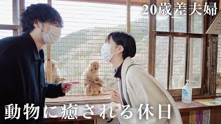 【年の差】嵐山にお猿さんに会いにいったら可愛すぎた！年の差夫婦の休日【日常vlog】