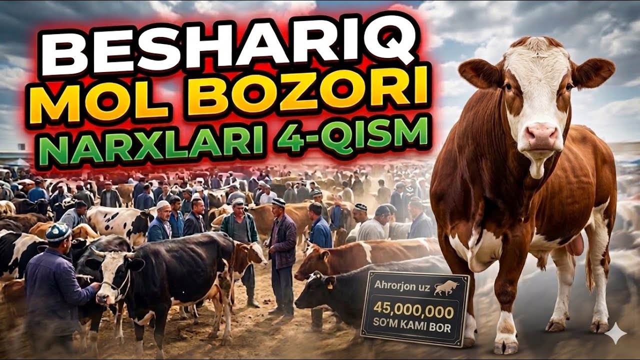 🔥Beshariq Mol Bozori sotilgan va qaytgan chovalar 08.03.2026😲 | Sigir va Buqa Narxlari Qancha?