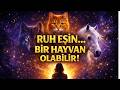 RUH EŞİN.... BİR HAYVAN OLABİLİR !  #ruhsaluyanış  #ruhaile #ruheşi #spiritüel #enerji #farkındalık