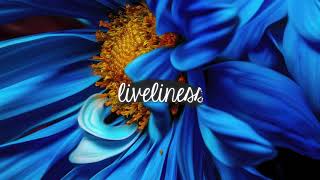 V-Sag feat. Alexandra McKay - Feather (Stoto Remix) V-Sag feat. Alexandra McKay - Feather (Stoto Remix)