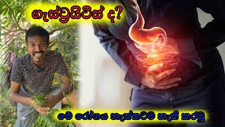 ගැස්ට්‍රයිටිස්ද