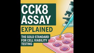 CCK8 Assay Explained: The Gold Standard for Cell Viability Testing