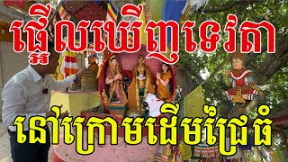 ឃើញទេវតានៅដើមជ្រៃធំ អ្នកបោសសម្អាតរត់ទៅប្រាប់នាងសុជាតា