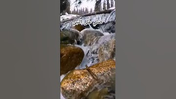 #صلي_علي_رسول_الله #اكتب_شي_توجر_عليه #سورة_الزمر