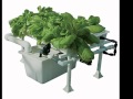 Proyecto final Fundamentos del Diseño - Olus plantacion hidroponica - Malpais