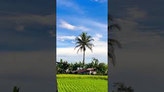 LAGU MINANG TRENDING DI 20AN ‼️ RINDU DI UJUANG SANJO - RAYOLA #laguminang #laguminangterbaru