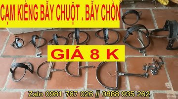 Cạm bẫy chuột / cạm bẫy chồn / cạm bẫy thú giá rẻ 8 k .