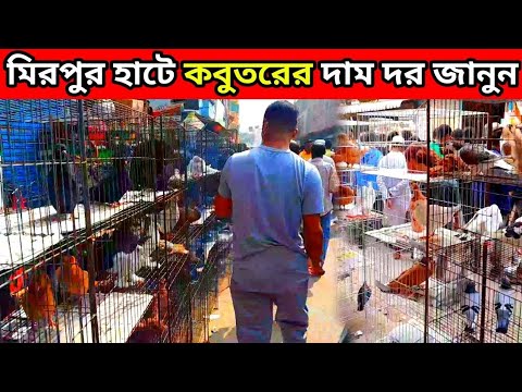 শুক্রবার মিরপুর-০১ কবুতরের হাট | মিরপুর হাটে কবুতরের দাম | মিরপুর কবুতর বাজার