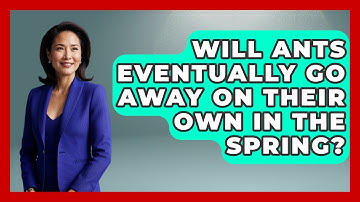 Will Ants Eventually Go Away On Their Own In The Spring? - Insects and Invaders