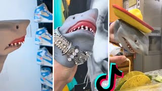 Funny SHARK PUPPET TikTok Compilation ~ BEST of Shark Puppet TikToks **NEW** by DopaMEME 1,442 views 2 months ago 12 minutes, 17 seconds