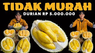 Durian costs 5 million ⁉️ BLACK DURIAN + MUSANGKING DURIAN #durian #duriandurihitam #masduren