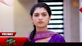 Sindhu Bhairavi - Promo 02 Apr 2026 Kannada Serial Sun Udaya