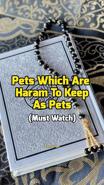 pets-which-are-haram-to-keep-as-pets-islamicheritagee-shorts