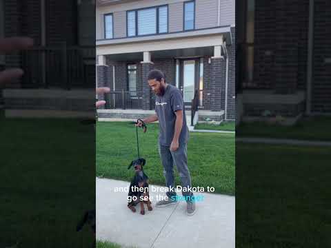 How to introduce