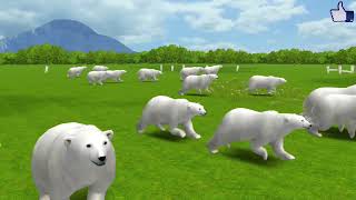 animal safari the white bear, white bear the temperance movement, the white bear cartoon