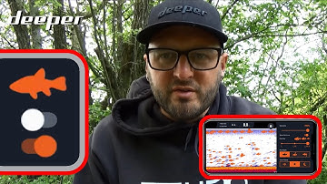 SHOULD I USE FISH ICONS?