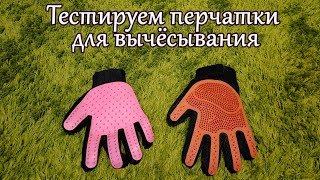 Тестируем перчатки для вычёсывания