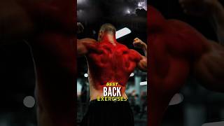 Best Back Exercises You’ve Never Seen