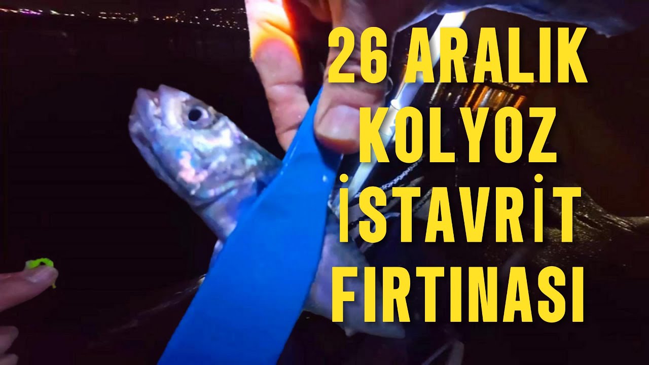 4K LRF KOLYOZ, İSTAVRİT KIŞ AYI AV TEKNİKLERİ, 26 ARALIK AVI 