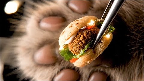 Cat Paw Food Pimple Popping ASMR – Oddly Satisfying #satisfying #asmrvideo #fastfood