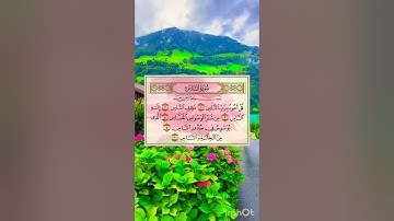 قل أعوذ برب الناس 💚💚سورة الناس ⚘ياسر الدوسري حالات واتس اب دينية مؤثرة Quran Status ⚘