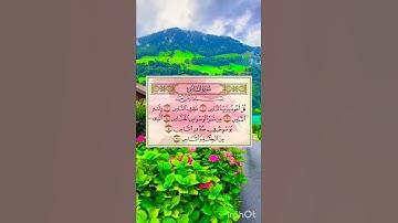 قل أعوذ برب الناس 💚💚سورة الناس ⚘ياسر الدوسري حالات واتس اب دينية مؤثرة Quran Status ⚘