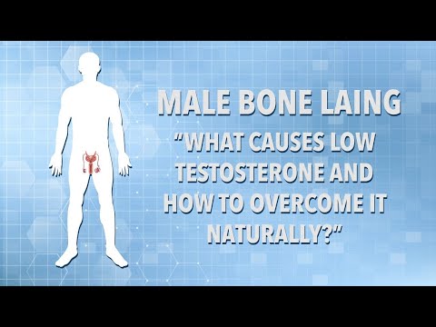 Was verursacht einen niedrigen Testosteronspiegel -wie kann man ihn auf natürliche Weise überwinden?