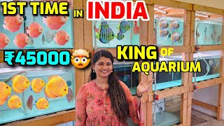 King of aquarium Fish Biggest farm in Tamilnadu ‼Showgrade imported Discuss
