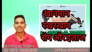 पशुपालन संबंधित सभी प्रकार की जानकारी जानने के लिए हमारे यूट्यूब चैनल को सब्सक्राइब करें। screenshot 5