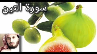 سورة التين  الشيخ سعد الغامدي 1440p