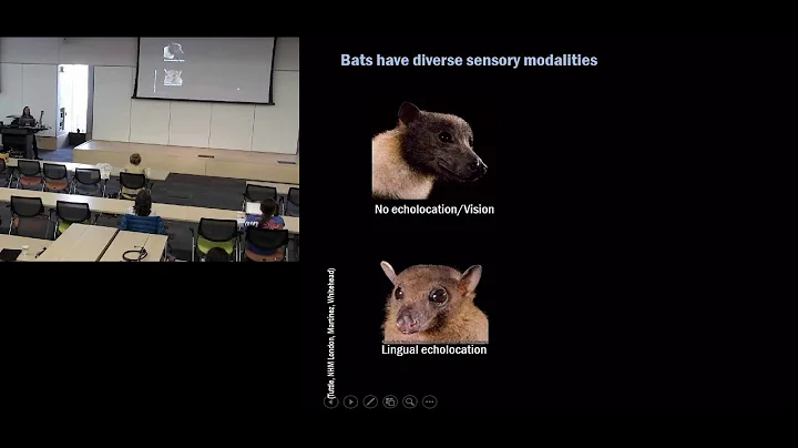 UM EEB Seminar: Sharlene Santana, University of Wa...