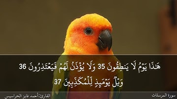 الصفحة 581 سورة المرسلات بصوت القارئ المهندس أحمد فايز الحراسيس
