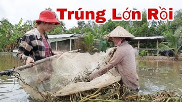 Kì Lạ Cách Bẫy Lươn Của Thôn Nữ Lại Dính Cá Khủng Trên Đồng | Trúc Phương Vlog - Fishing