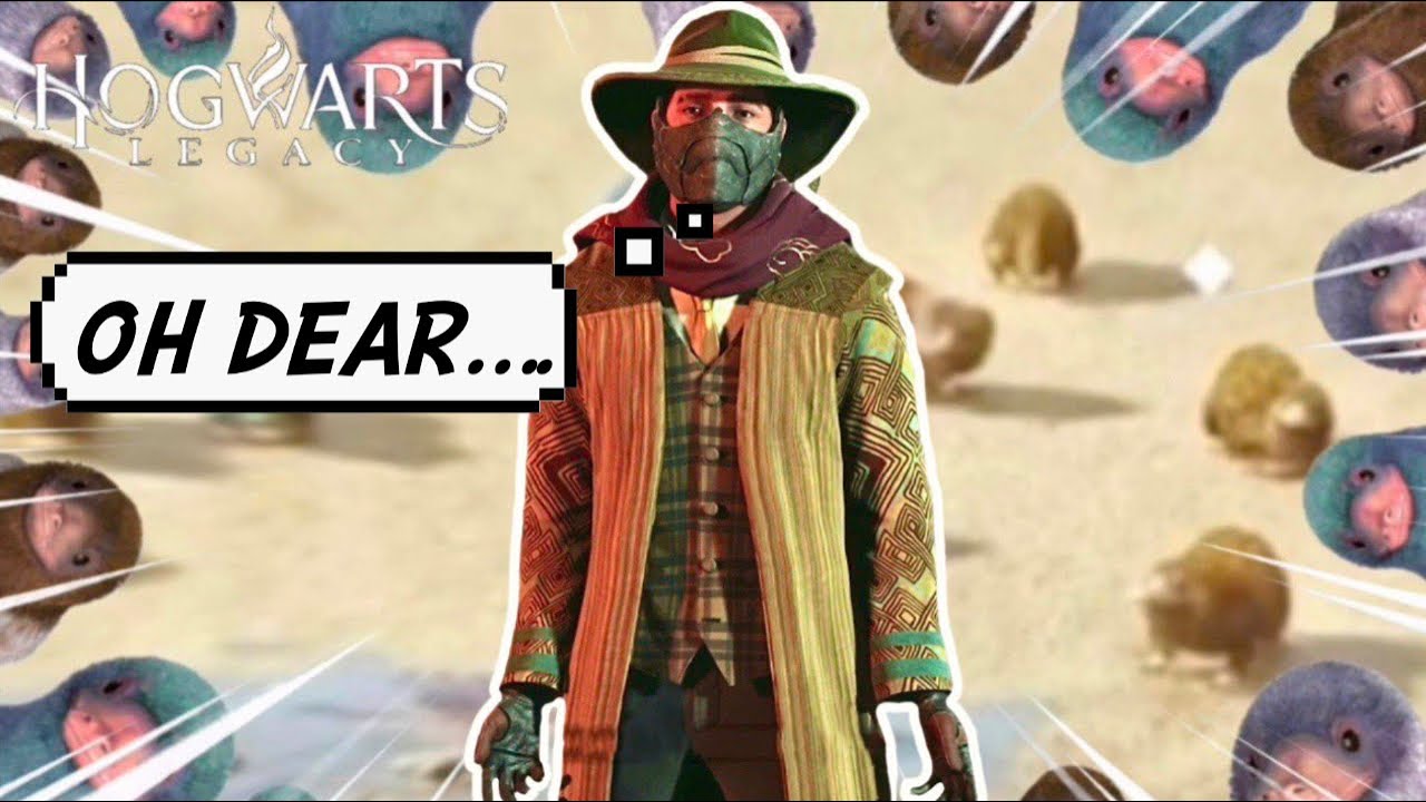 A Room Full Of Nifflers LOL Hogwarts Legacy YouTube